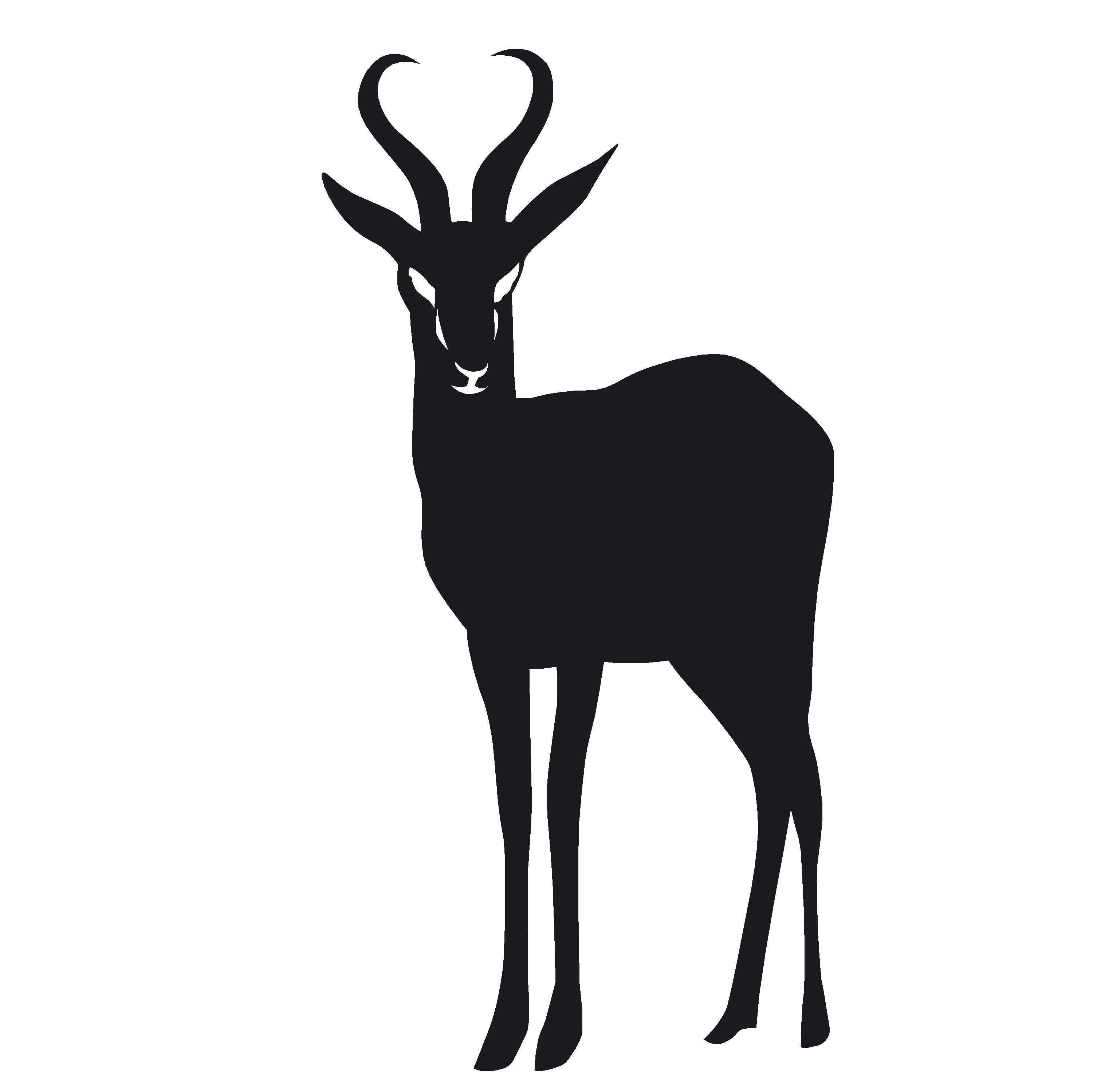 Springbok Decal - African Game Decal - 1234 - Waterfowldecals