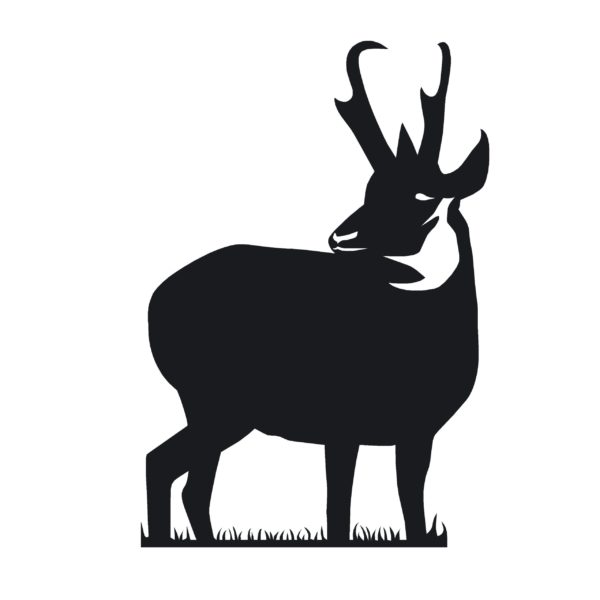 Pronghorn Antelope Sticker - 1235