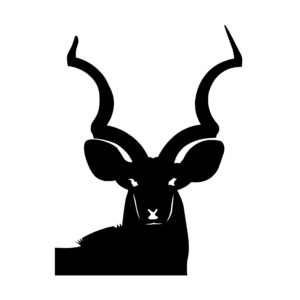 Kudu Buck Decal - African Plains Game Decal - 1241