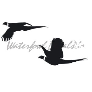 Flying Pheasant Waterfowl Hunting Sticker - 7032
