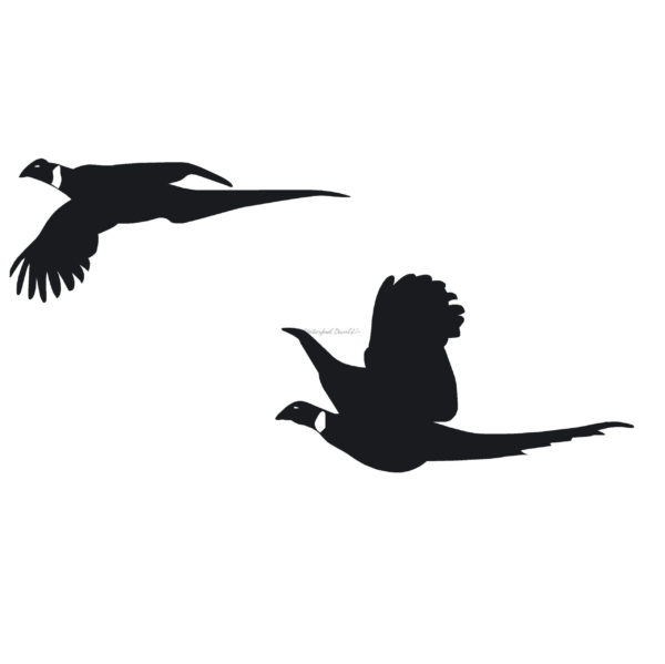 Flying Pheasant Waterfowl Hunting Sticker - 7032