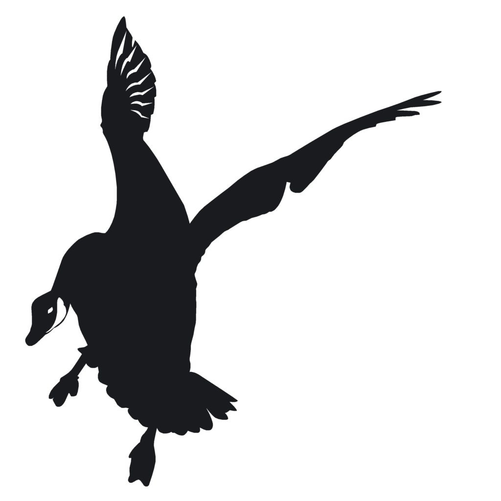 Goose Landing Goose Hunting Decal - Hunting Sticker - 7038