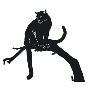 Cougar on Limb Decal - Cougar Decal - 7039