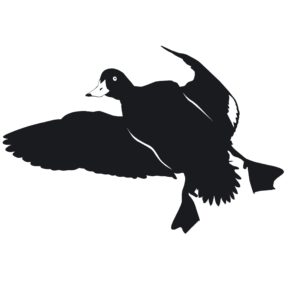 Flying Duck Decal