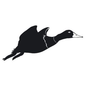 Canvasback Duck Hunting Sticker - 7044