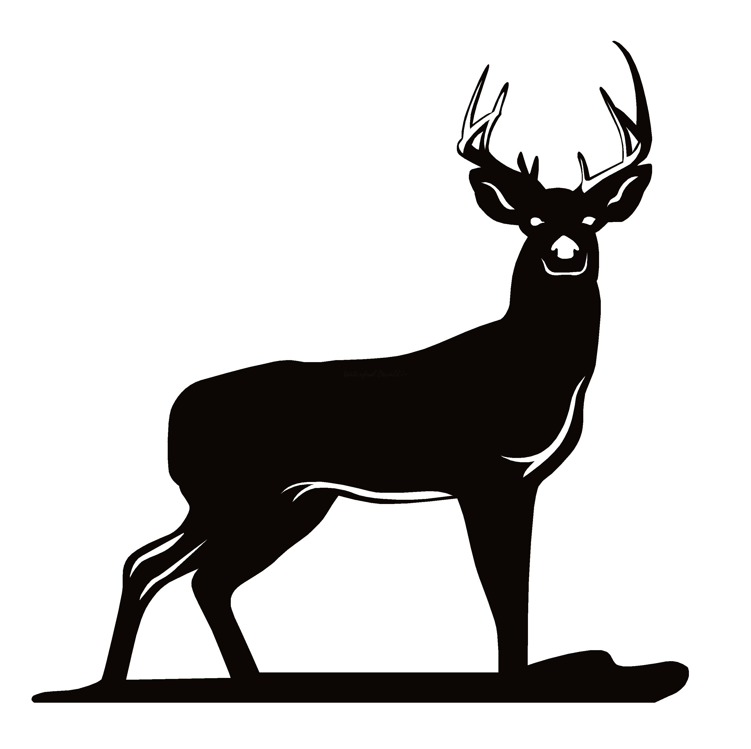 Whitetail Deer Buck Hunting Decal Whitetail Deer Buck Hunting Sticker   7102a 1 