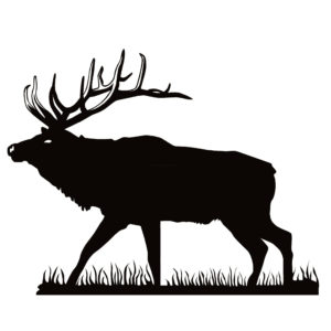 Bull Elk Sticker