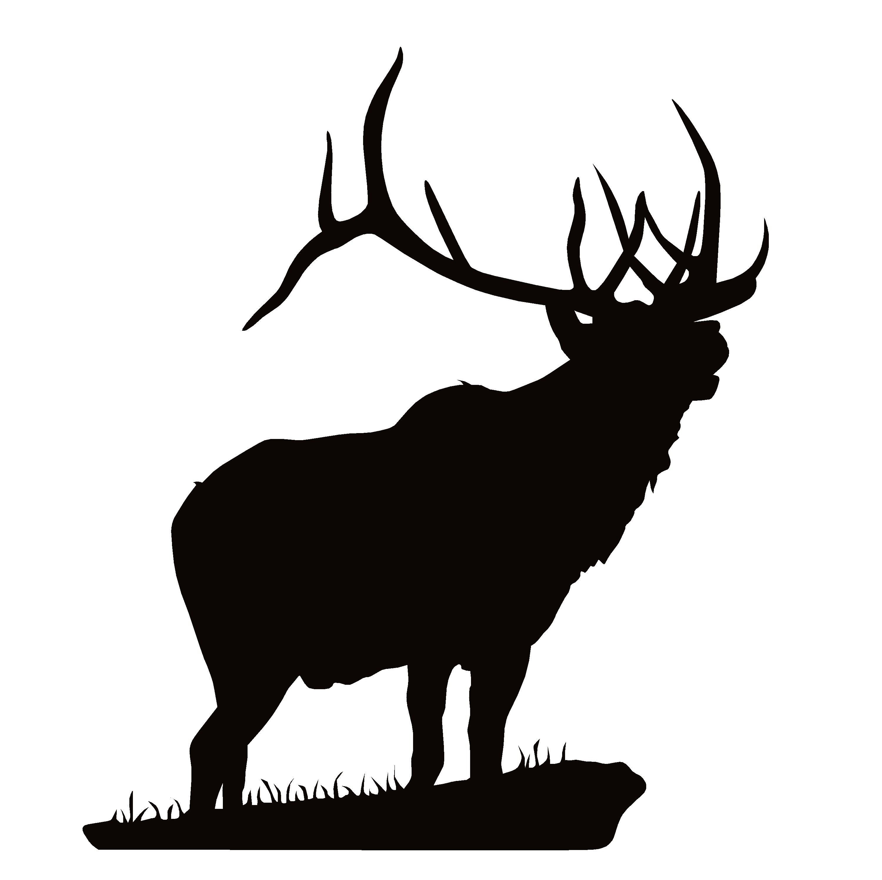 Standing Bull Elk Decal – Bull Elk Sticker - WaterfowlDecals.com