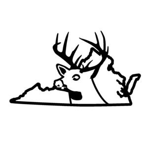 Virginia Deer Hunting