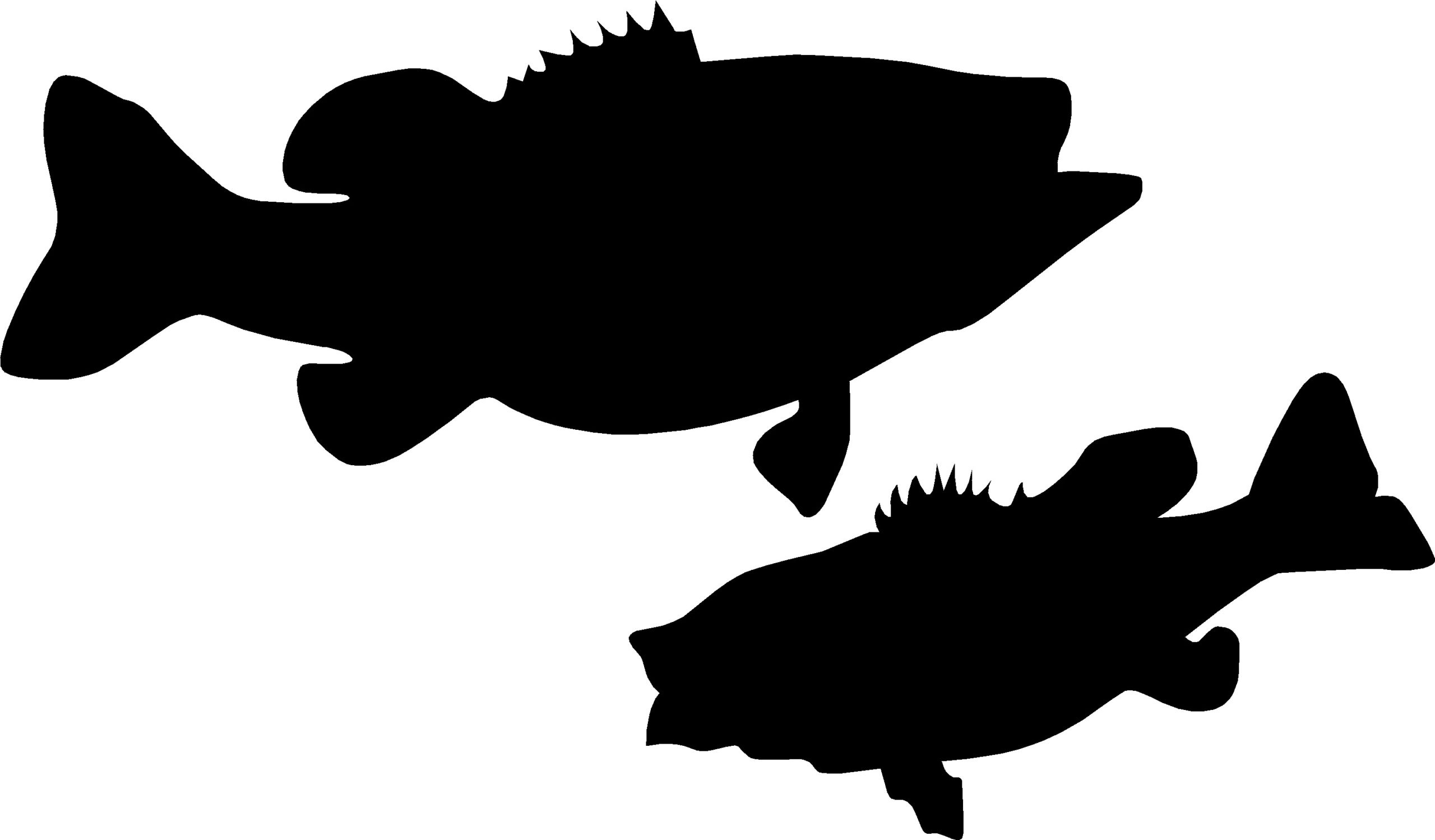 LARGE MOUTH BASS SMALL MOUTH BOAT LINE LAKE   R/L/M VINYL DECAL STICKER 8 S17