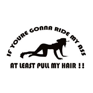 Ride My Ass Pull My Hair Decal