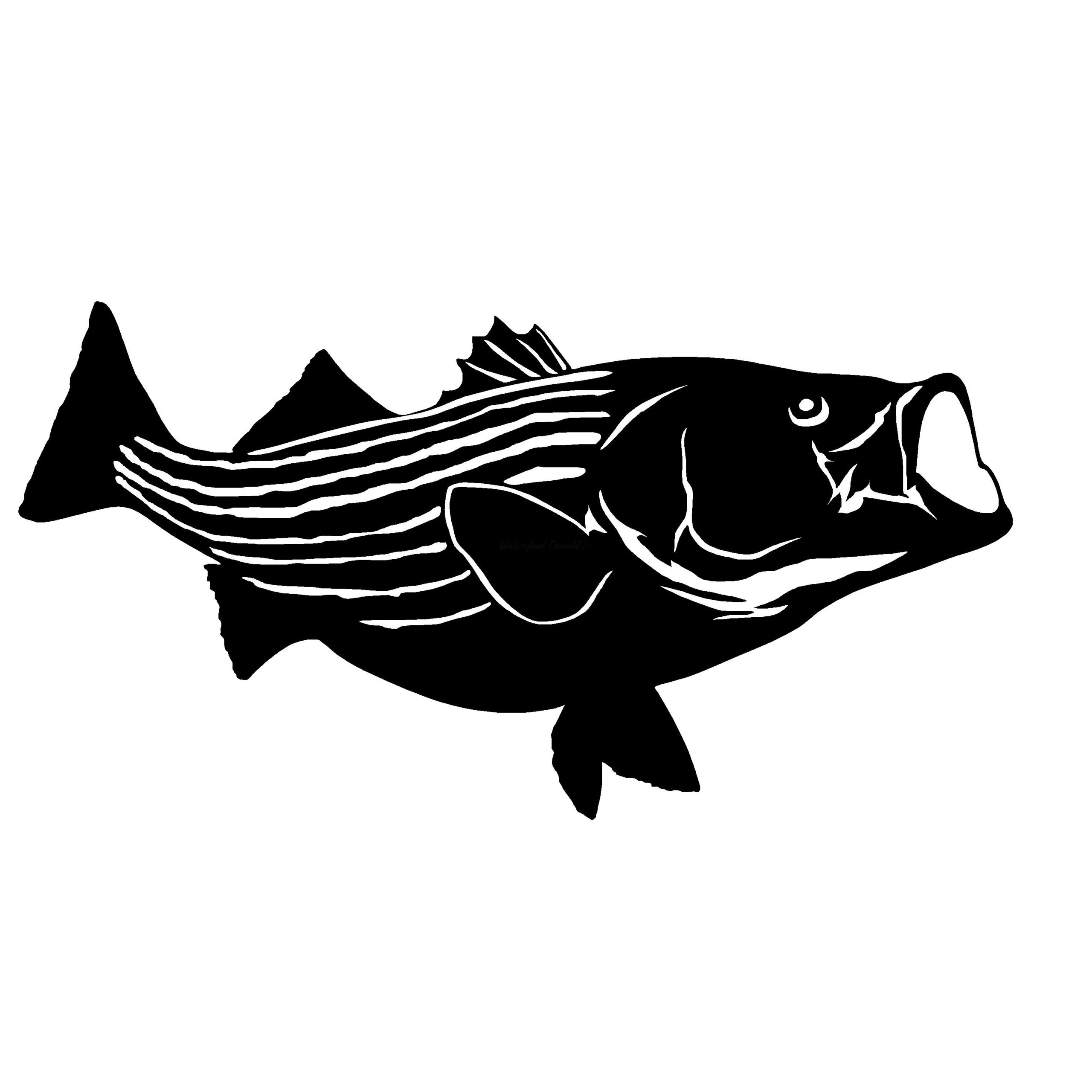 Striper Bass Fishing Decal - Striper Bass Fishing Sticker - 2206