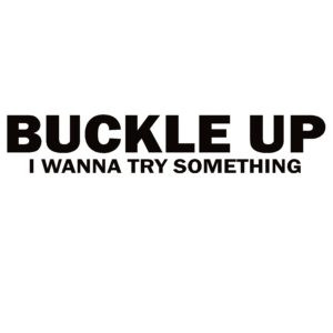 Buckle Up I Wanna Try Something Decal - Buckle Up I Wanna Try Something Sticker - 7224