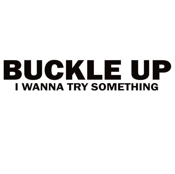 Buckle Up I Wanna Try Something Decal - Buckle Up I Wanna Try Something Sticker - 7224