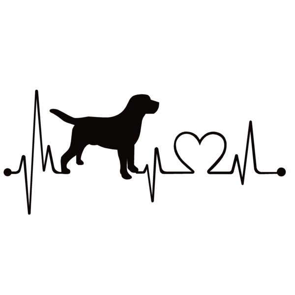 puppy with heart beat