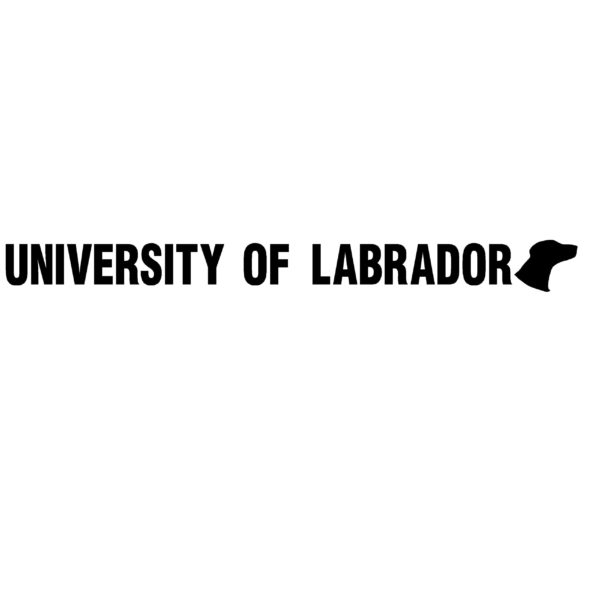 University of Labrador Retriever Dog Decal - University of Lab Retriever Dog Sticker - 2403