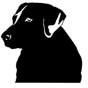 Labrador Head Side View Decal