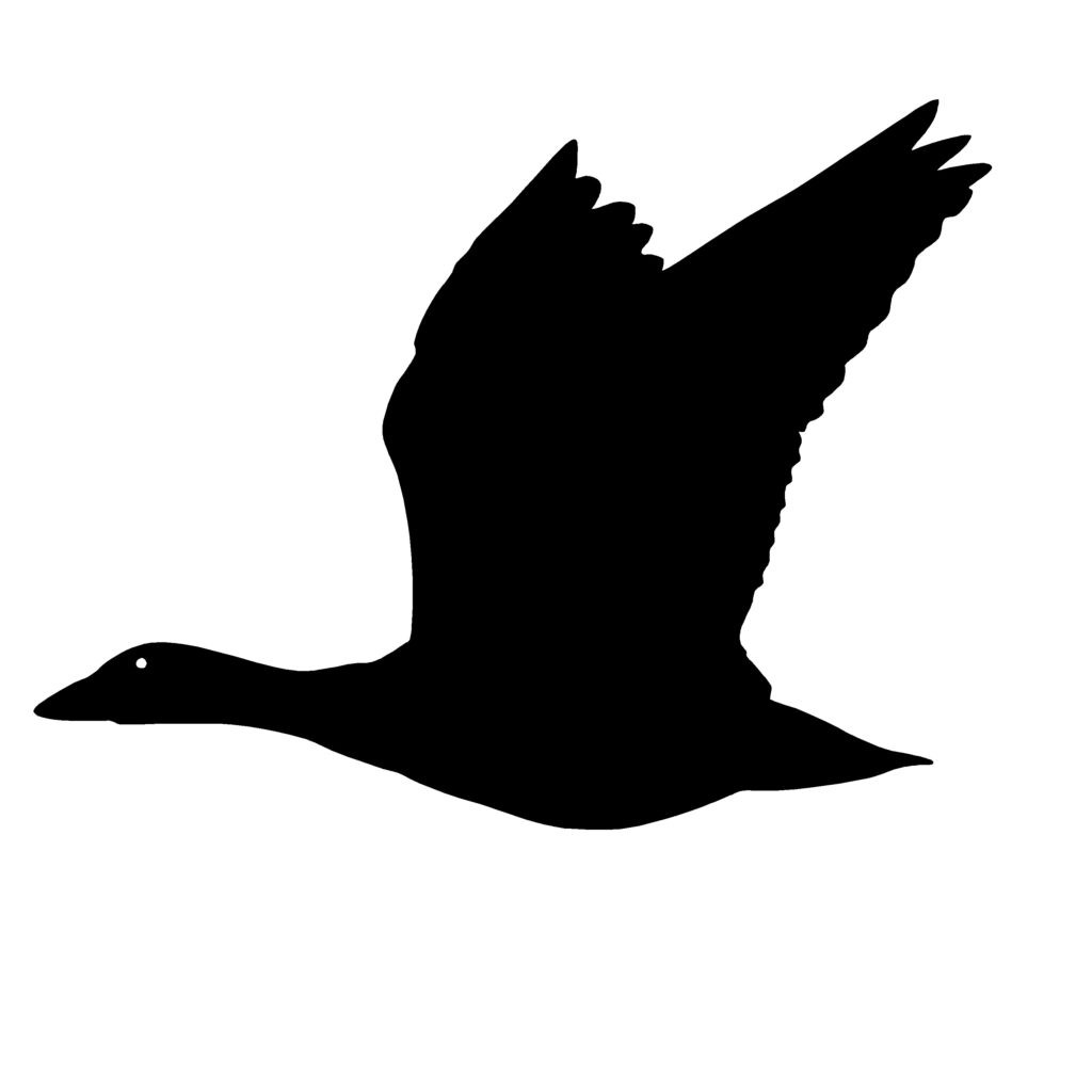 Snow Goose in Flight Decal - Snow Goose in Flight Hunting Sticker - 6003