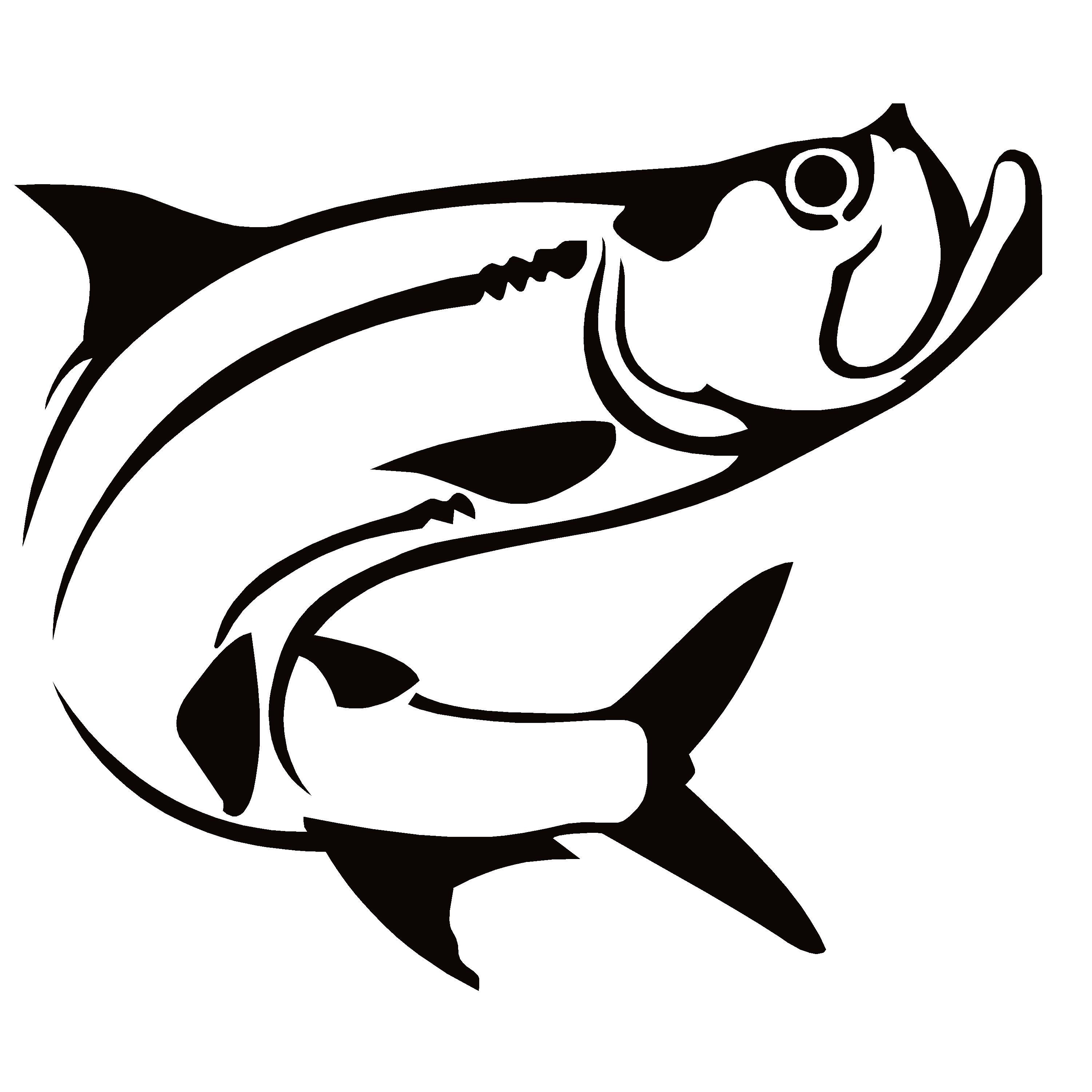 TARPON 3 Fishing Window Decal -TARPON 3 Fishing Window - 7483