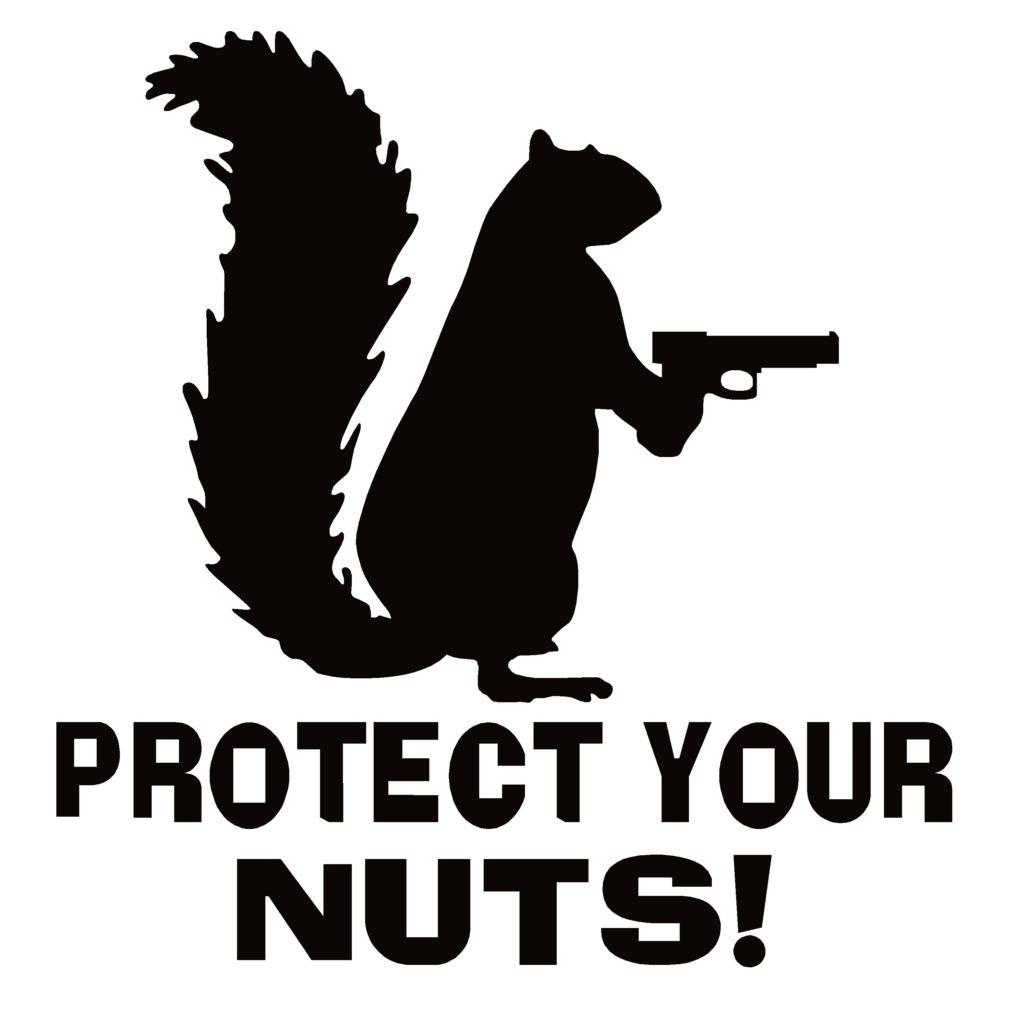 PROTECT YOUR NUTS SQUIRREL GUN Vinyl Decal Sticker Car Window Wall Bumper FUNNY 