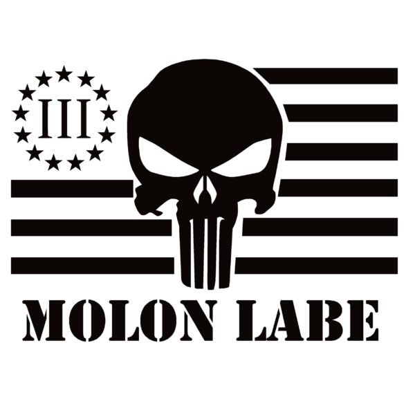 MOAON AABE Skull with Flag Window Sticker - MOAON AABE Skull with Flag Window Decal