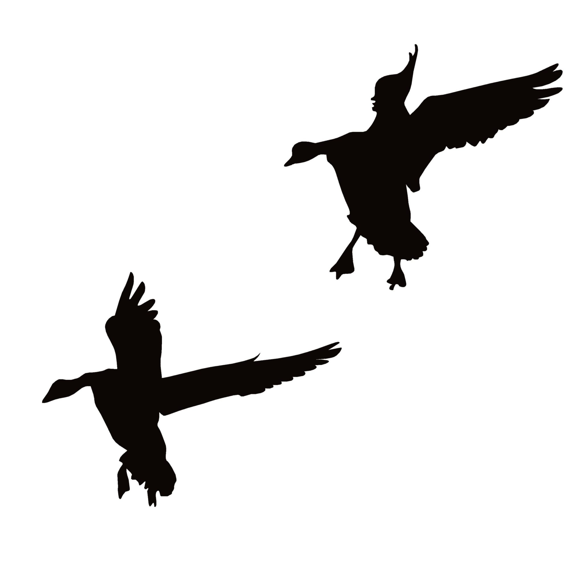 Waterfowl Decals - 1000's of Outdoor Images and Cut Vinyl Graphics Decals