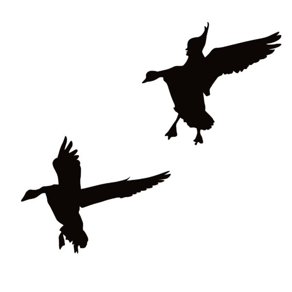 Geese Landing in Spread Window Decal - Geese Landing in Spread Window ...