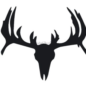 Deer Skull Antler Decal 10050