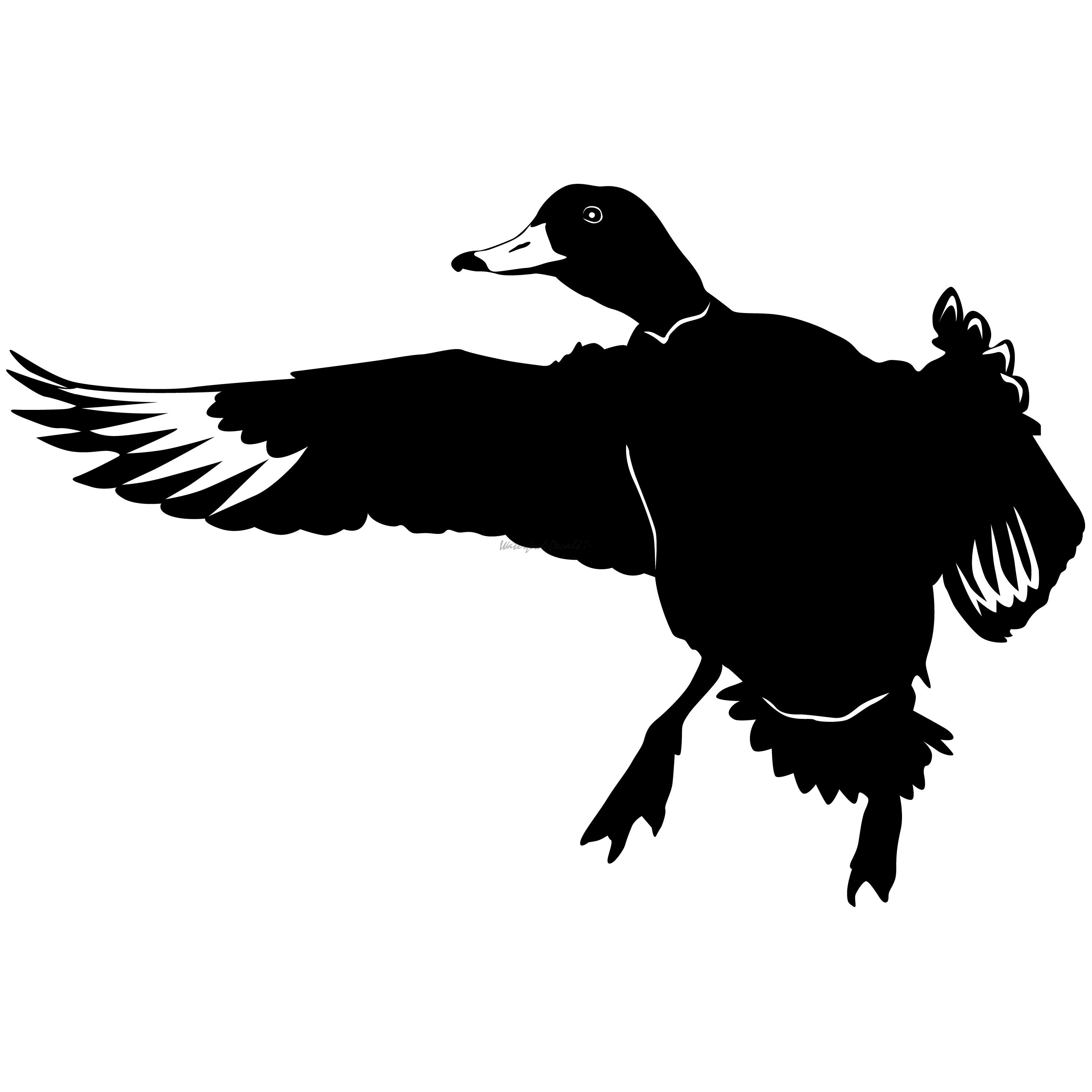 Landing Redhead Duck Decal Redhead Duck Sticker 7049 - Waterfowldecals